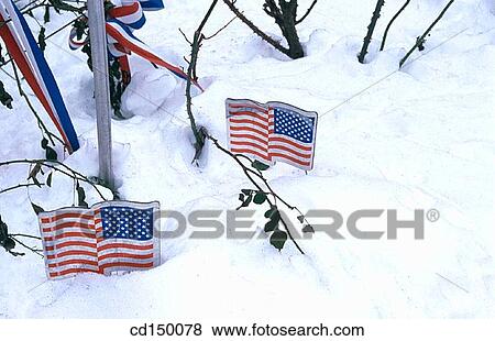 American flag, coldness, cold, Americana, America View Large Photo Image Stock Photo - American flag, coldness, cold, Americana, America. Fotosearch