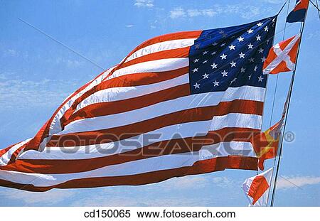 American flag, flag, blue, Americana, America View Large Photo Image Stock Photography - American flag, flag, blue, Americana, America. Fotosearch