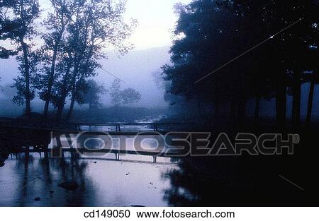 An early morning scene showing, a foot bridge over a small river framed by trees. View Large Photo Image Stock Image - An early morning scene showing, a foot bridge over a small river framed by trees.. Fotosearch
