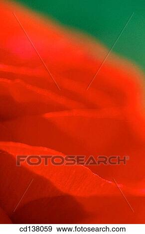 aroma, delicate, Close-up, background, abstract View Large Photo Image Stock Photo - aroma, delicate, Close-up, background, abstract. Fotosearch