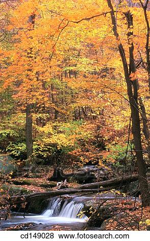 Stock Photo - Autumn scene with trees and waterfall. Fotosearch