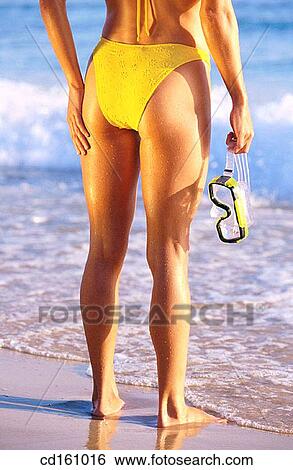 Stock Photograph - back view, bathe, bathing, beach. Fotosearch