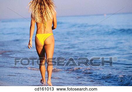 back view, beach, activity View Large Photo Image Stock Image - back view, beach, activity. Fotosearch