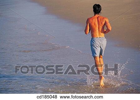 back view, beach, coast View Large Photo Image Stock Photo - back view, beach, coast. Fotosearch