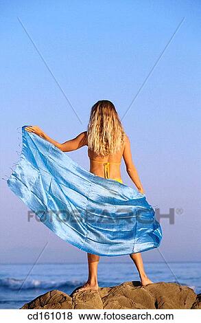 back view, beach View Large Photo Image Stock Photo - back view, beach. Fotosearch