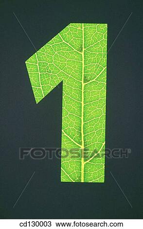 background, black, Close-up, concept, green View Large Photo Image Stock Image - background, black, Close-up, concept, green. Fotosearch