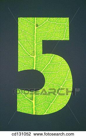 background, black, Close-up, concept, five View Large Photo Image Stock Image - background, black, Close-up, concept, five. Fotosearch
