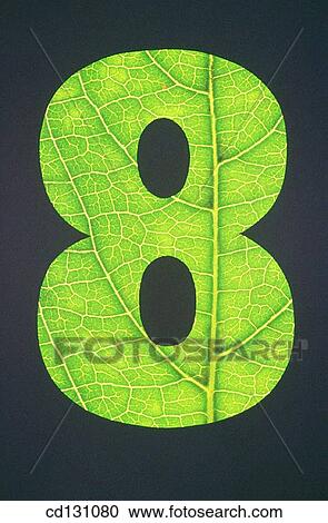 background, black, Close-up, concept View Large Photo Image Stock Image - background, black, Close-up, concept. Fotosearch