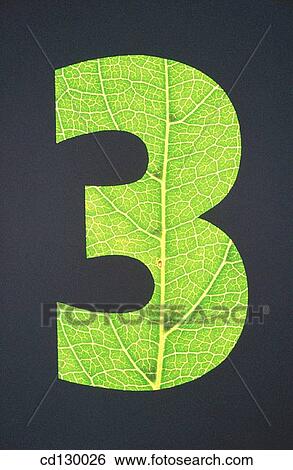background, black, Close-up, concept, green View Large Photo Image Stock Photograph - background, black, Close-up, concept, green. Fotosearch
