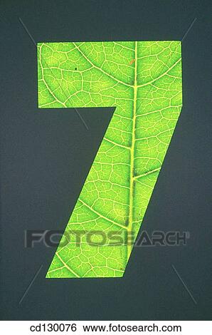background, black, Close-up, concept View Large Photo Image Stock Photograph - background, black, Close-up, concept. Fotosearch