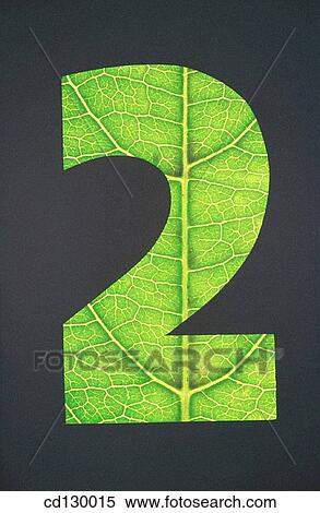 Stock Photography - background, black, Close-up, concept, green. Fotosearch