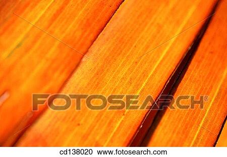 Stock Image - background, detail, Close-up, abstract. Fotosearch