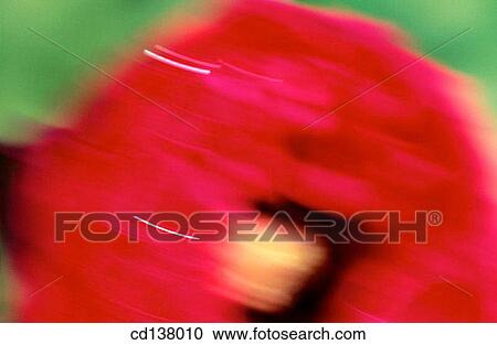 background, detail, Close-up, blurred, abstract View Large Photo Image Stock Image - background, detail, Close-up, blurred, abstract. Fotosearch