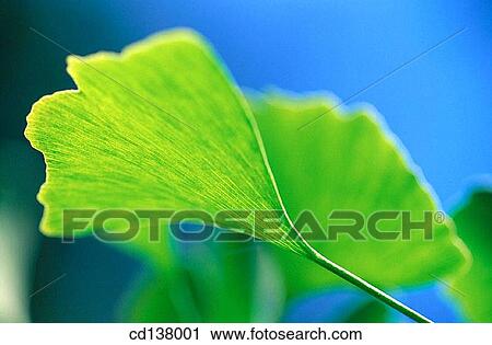 background, detail, day, Close-up, abstract View Large Photo Image Stock Image - background, detail, day, Close-up, abstract. Fotosearch
