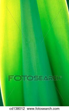 background, detail, day, Close-up, abstract View Large Photo Image Stock Image - background, detail, day, Close-up, abstract. Fotosearch