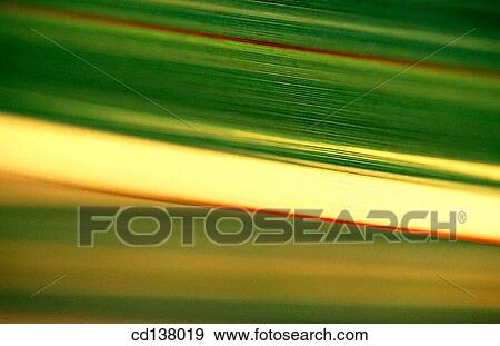 background, green, detail, Close-up, abstract View Large Photo Image Stock Photo - background, green, detail, Close-up, abstract. Fotosearch