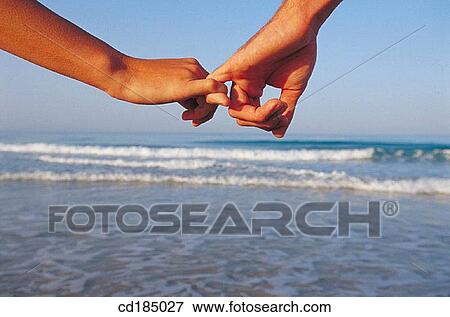 beach, Close-up, close friend, Best friend, affection View Large Photo Image Stock Photo - beach, Close-up, close friend, Best friend, affection. Fotosearch
