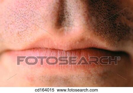 body, Body part, Close-up, contemporary View Large Photo Image Stock Photography - body, Body part, Close-up, contemporary. Fotosearch