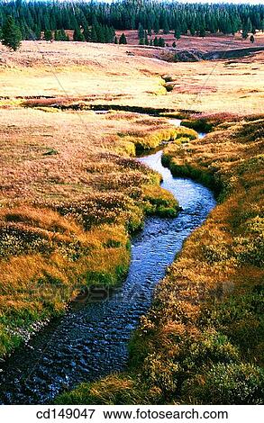 brook, creek, day, ecosystem, flow View Large Photo Image Stock Photo - brook, creek, day, ecosystem, flow. Fotosearch