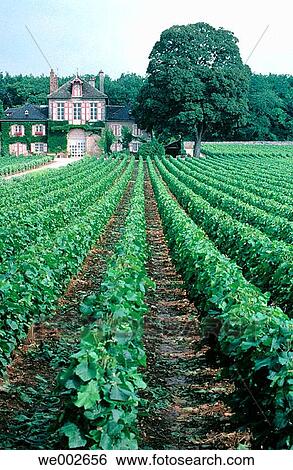 building, crop, country, Burgundy, agriculture View Large Photo Image Stock Photograph - building, crop, country, Burgundy, agriculture. Fotosearch