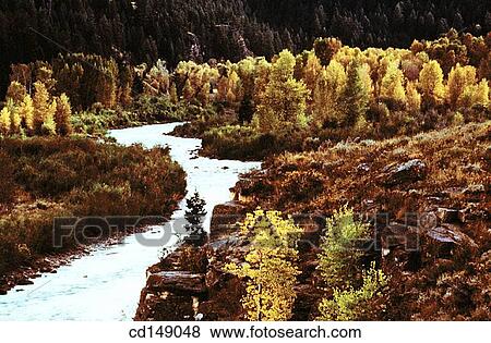 Stock Photo - calm, day, deserted, ecosystem, flow. Fotosearch