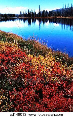 calm, day, ecosystem, lake, Landscape View Large Photo Image Stock Image - calm, day, ecosystem, lake, Landscape. Fotosearch