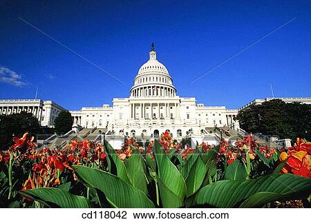 Capitol Building. Washington D. C. USA View Large Photo Image Stock Image - Capitol Building. Washington D. C. USA. Fotosearch