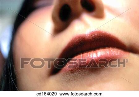 carnality, Close-up, contemporary View Large Photo Image Stock Photo - carnality, Close-up, contemporary. Fotosearch