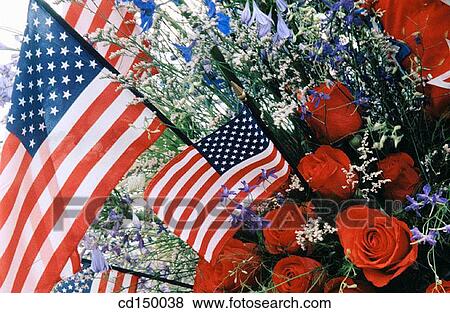 celebration, American flag, celebrate, blue, Americana, America View Large Photo Image Stock Photo - celebration, American flag, celebrate, blue, Americana, America. Fotosearch
