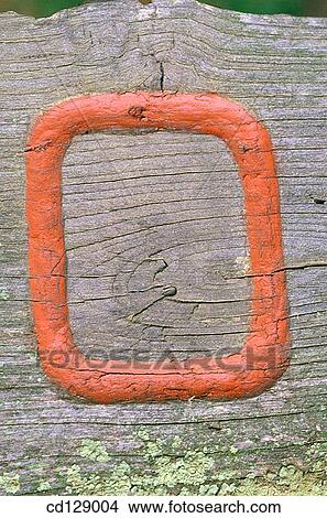 Close-up, lumber, concept, aged View Large Photo Image Picture - Close-up, lumber, concept, aged. Fotosearch