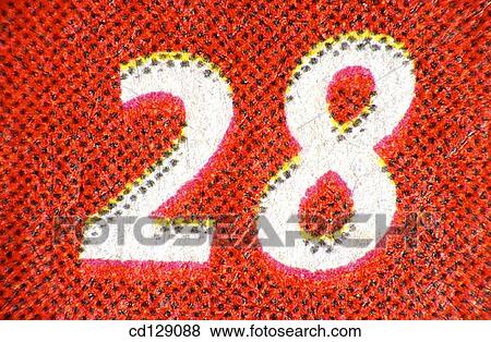Close-up, numb, concept, 28 View Large Photo Image Stock Photo - Close-up, numb, concept, 28. Fotosearch