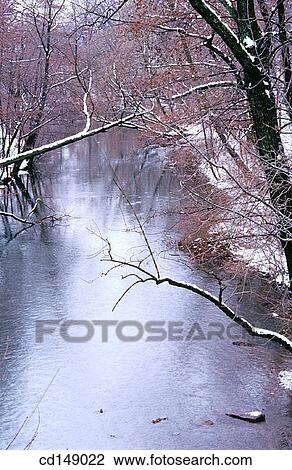 cold, coldness, day, ecosystem, flow View Large Photo Image Stock Image - cold, coldness, day, ecosystem, flow. Fotosearch