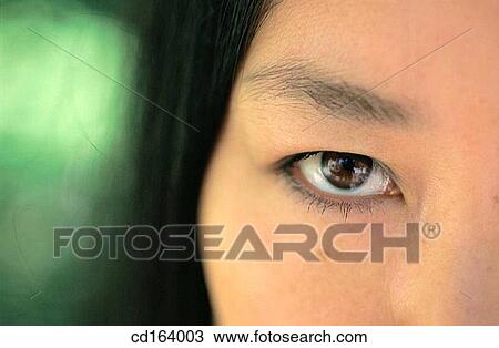 Stock Image - concept, detail, contemporary, Asian-American. Fotosearch