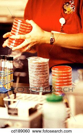 concept, health, hospital, human View Large Photo Image Stock Image - concept, health, hospital, human. Fotosearch