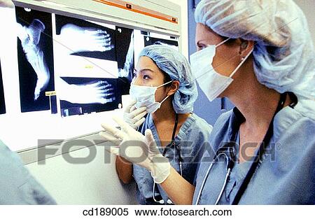 consult, consulting, consultation, activity View Large Photo Image Stock Photography - consult, consulting, consultation, activity. Fotosearch