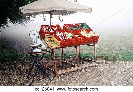 Stock Image - Farm stand in morning fog. Italy. Fotosearch