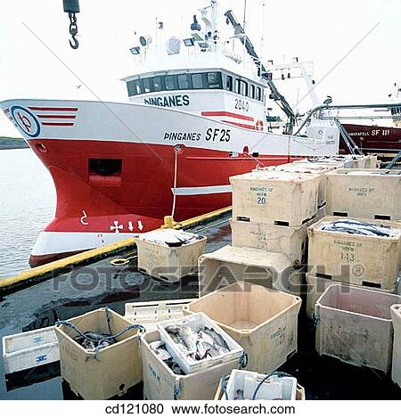 Stock Image - Fishing boat at port of Hornafjordur city. Hofn island. Iceland. Fotosearch