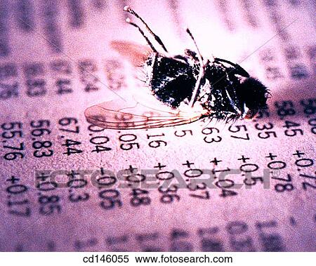 Fly on stock report View Large Photo Image Stock Photography - Fly on stock report. Fotosearch