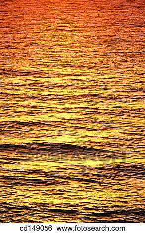 Golden light shining on ocean waves at sunset. View Large Photo Image Stock Photograph - Golden light shining on ocean waves at sunset.. Fotosearch