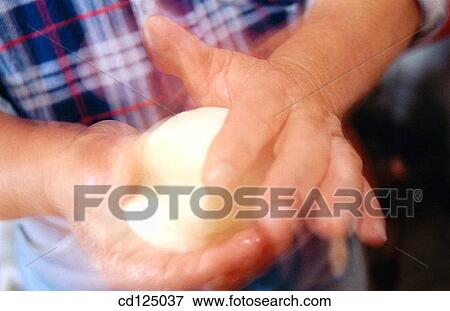Stock Photo - Mozzarella cheese making. Fotosearch