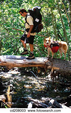 A man backpacking with a dog around Convict Lake, CA, USA View Large Photo Image Stock Image - A man backpacking with a dog around Convict Lake, CA, USA. Fotosearch