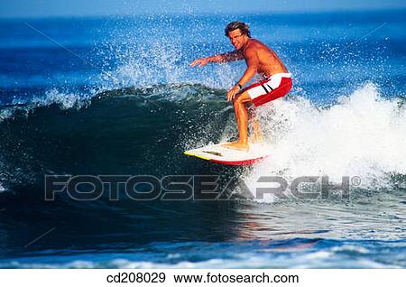 A man surfing View Large Photo Image Stock Photo - A man surfing. Fotosearch