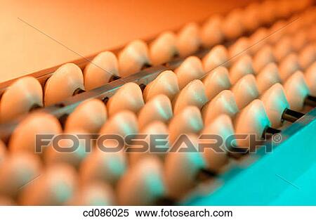 Stock Photography - Abacus. Fotosearch