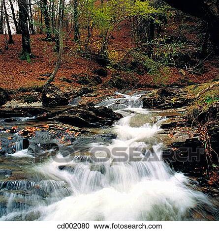 Alzania River. Guip·zcoa. Spain View Large Photo Image Stock Image - Alzania River. Guip·zcoa. Spain. Fotosearch