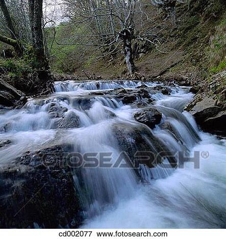 Alzania River. Guip·zcoa. Spain View Large Photo Image Stock Photo - Alzania River. Guip·zcoa. Spain. Fotosearch
