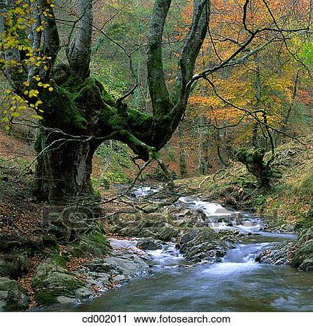 Alzania River. Otzaurte. Guip·zcoa. Spain View Large Photo Image Stock Image - Alzania River. Otzaurte. Guip·zcoa. Spain. Fotosearch