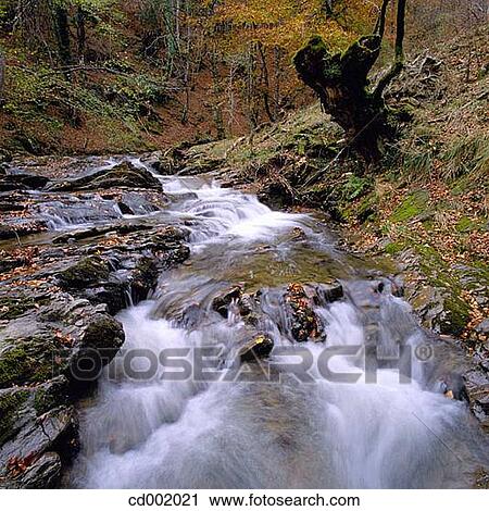 Alzania River. Otzaurte. Guip·zcoa. Spain View Large Photo Image Stock Image - Alzania River. Otzaurte. Guip·zcoa. Spain. Fotosearch