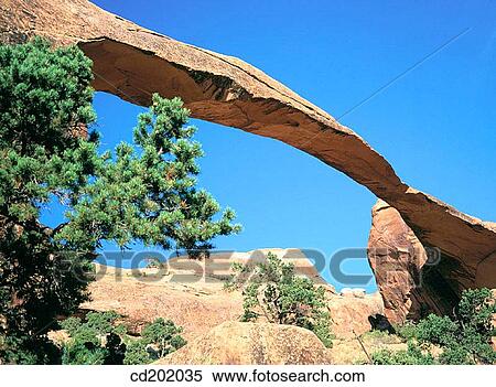 Arches National Park. Utah. USA View Large Photo Image Stock Photography - Arches National Park. Utah. USA. Fotosearch