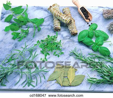 Aromatic herbs View Large Photo Image Stock Photo - Aromatic herbs. Fotosearch