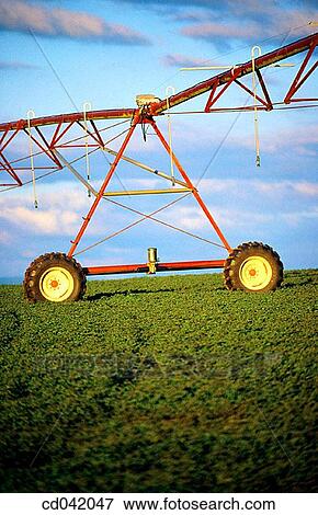 Stock Photo - Automatic irrigation machine. Fotosearch
